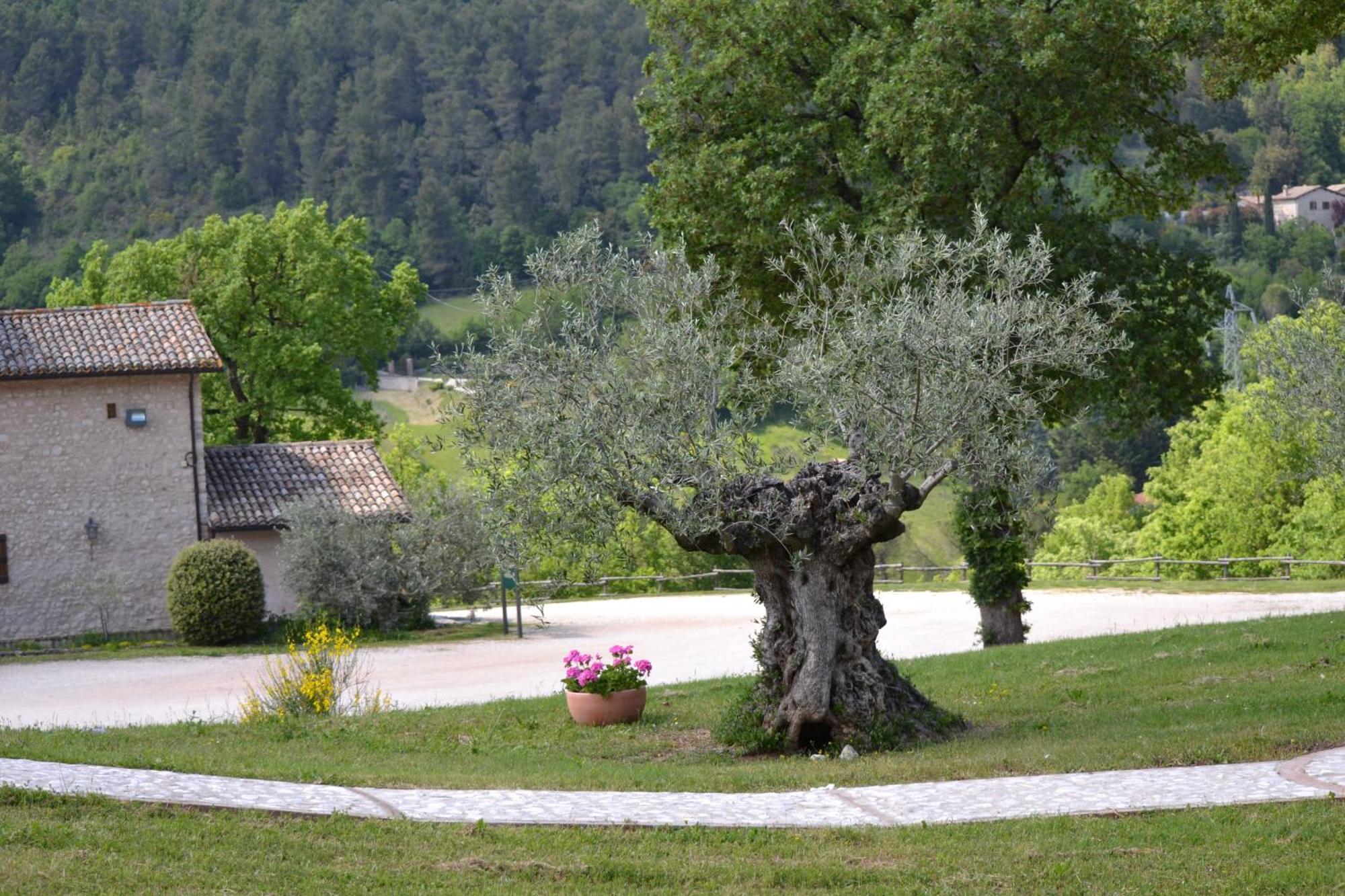 Valle Rosa Spoleto Eksteriør bilde